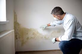 Best Post-Construction Mold Inspection  in New Albany, MS